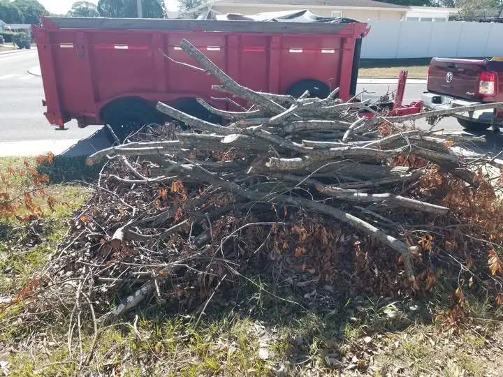 Large stack of cut tree branches with dry leaves piled on grass beside a red dumpster trailer hitched to a truck, in a suburban roadside setting.