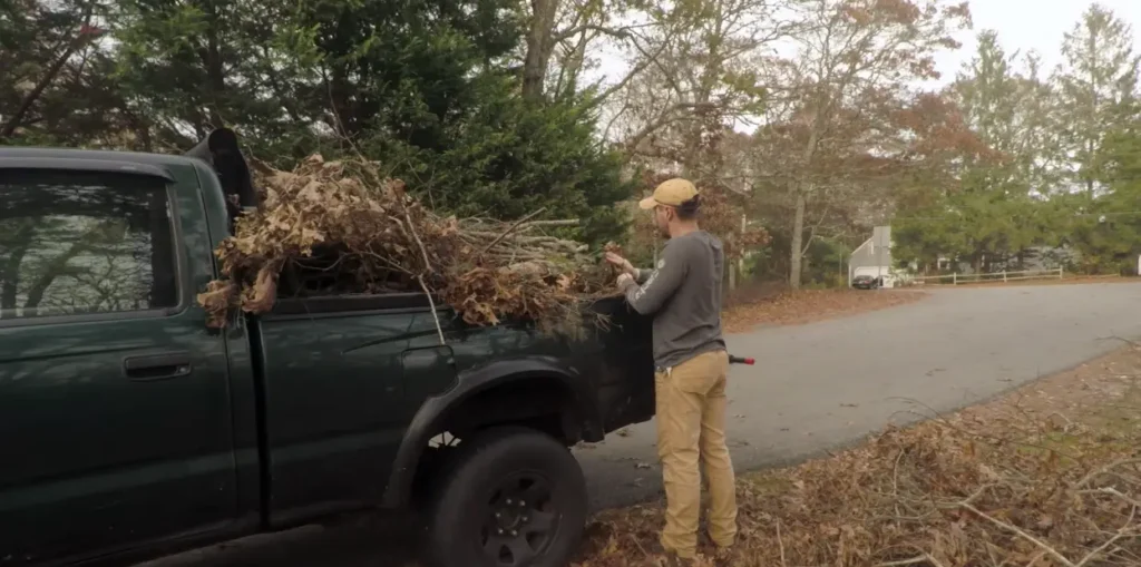 Fallen Branches Loading on Truck