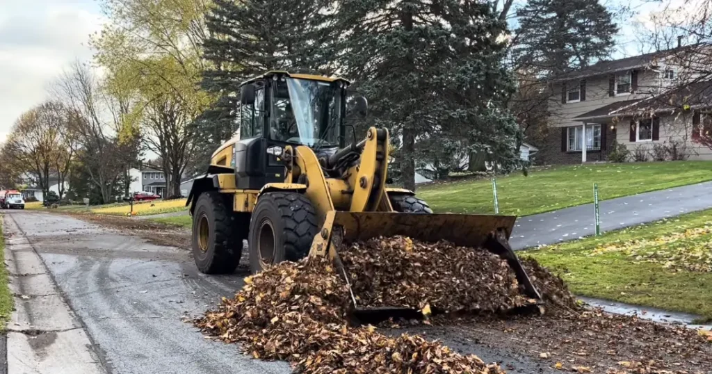 Fallen Leaves removal